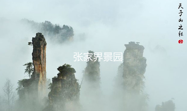 湖南张家界5A级风景区wifi项目